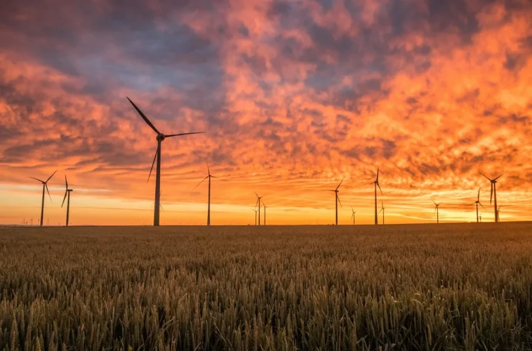 Wind turbines at sunset over a field